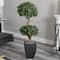 Nearly Natural; 4.5ft. Sweet Bay Double Topiary Tree in Black Planter; Category:Trees & Floor Plants; Image:5